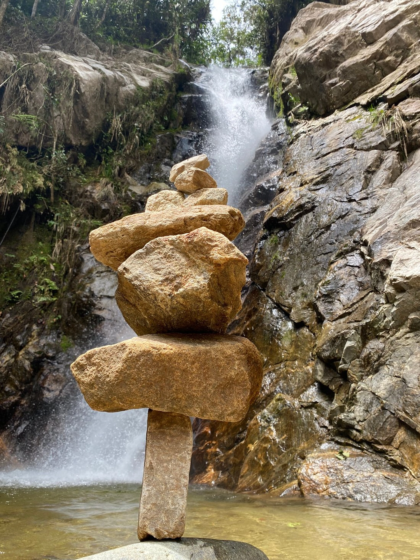 Picture 5