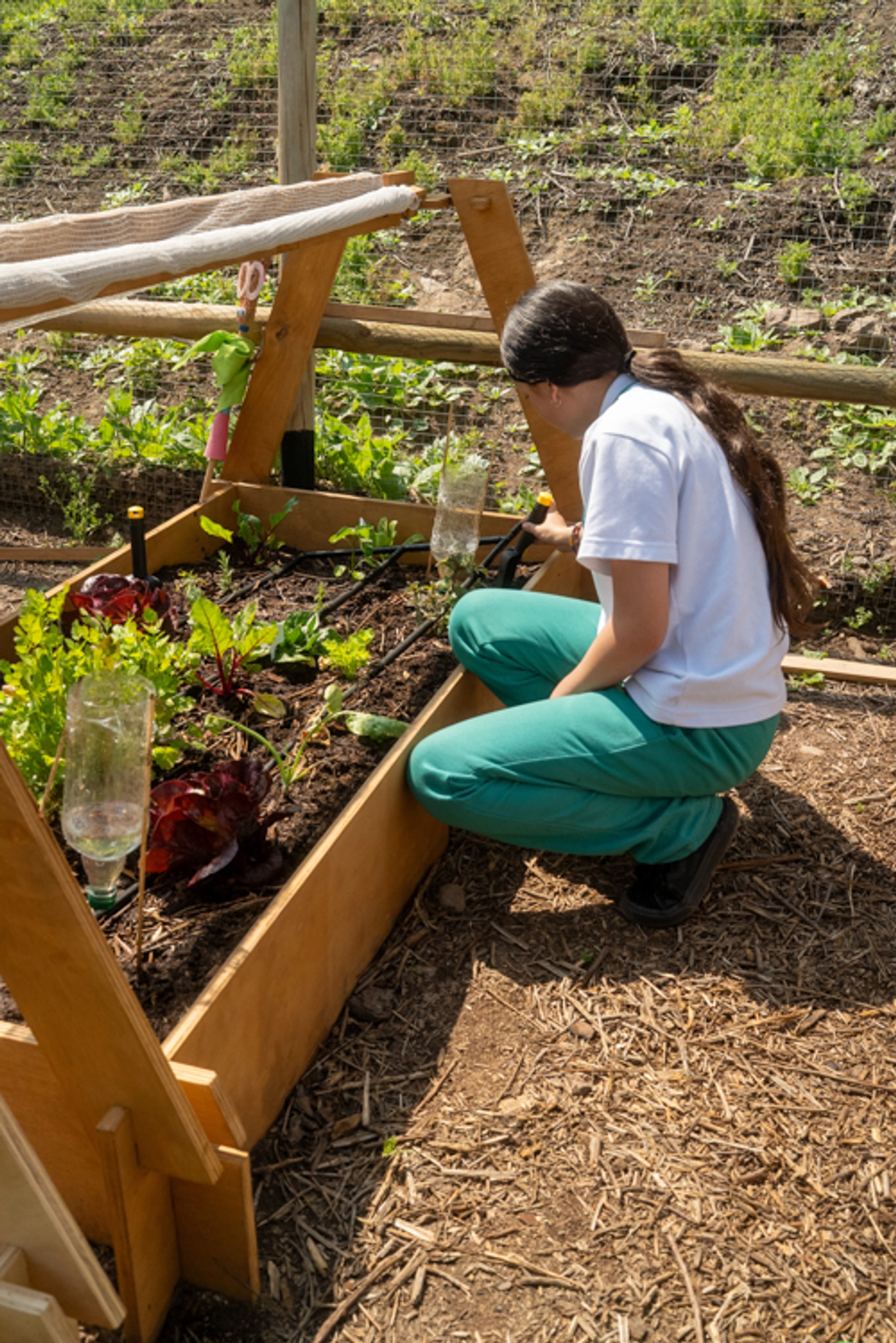 Taller de Huerta y Compostaje