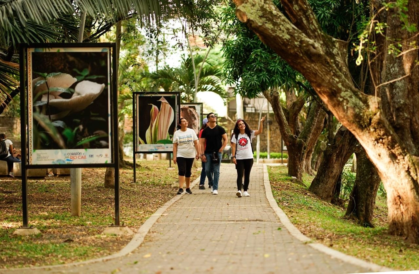 Picture 5