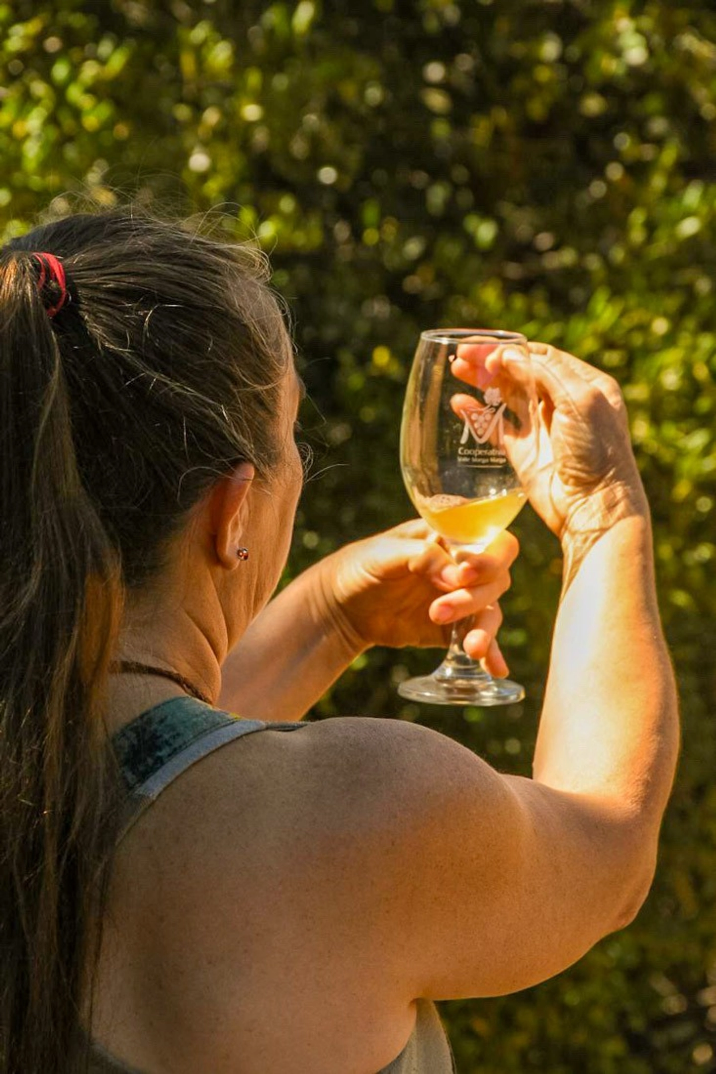 La Ruta Secreta del Vino: Senderismo y Tradición en Marga Marga