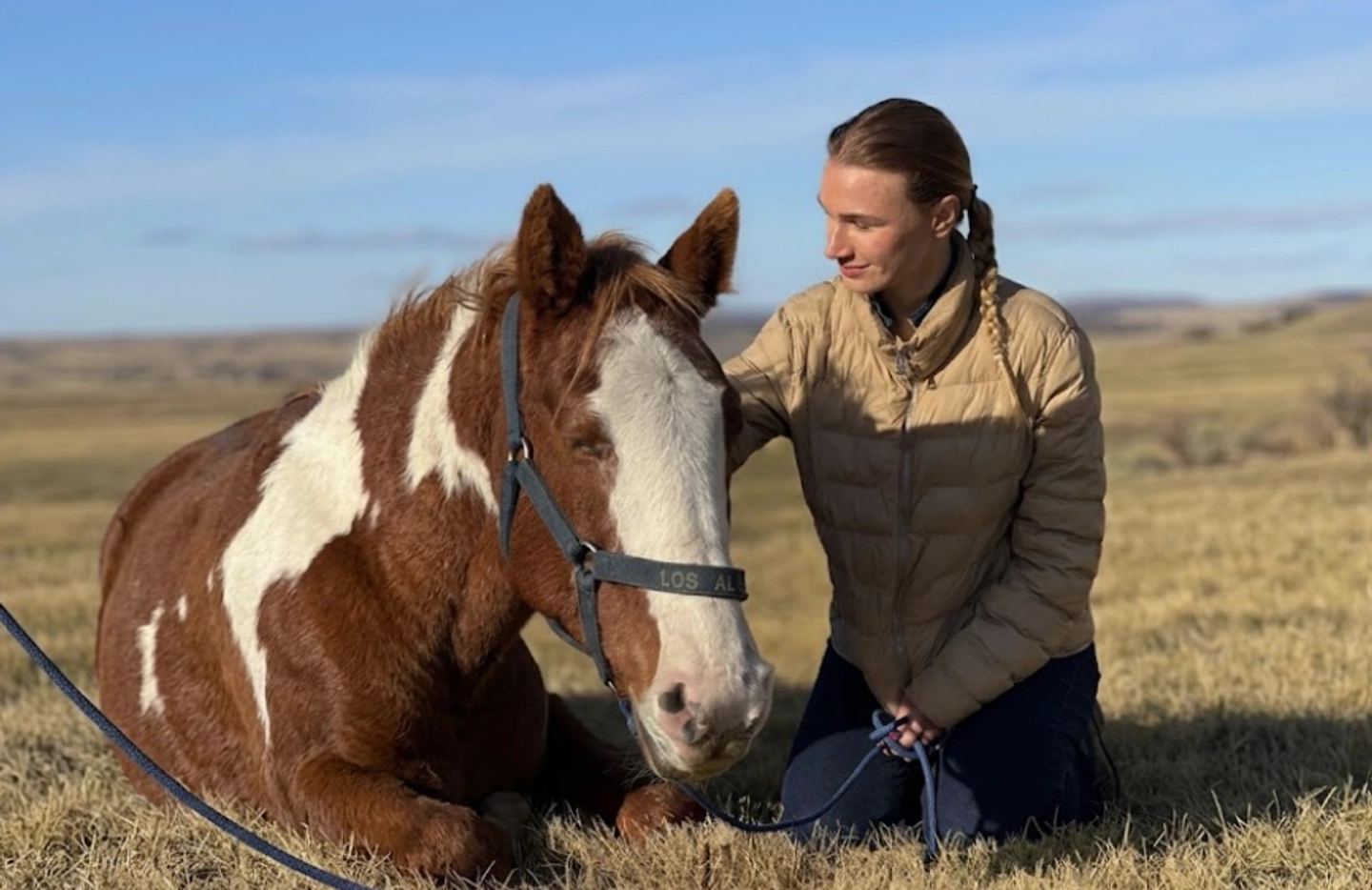 Cabalgata de Media Día en Patagonia desde Puerto Natales