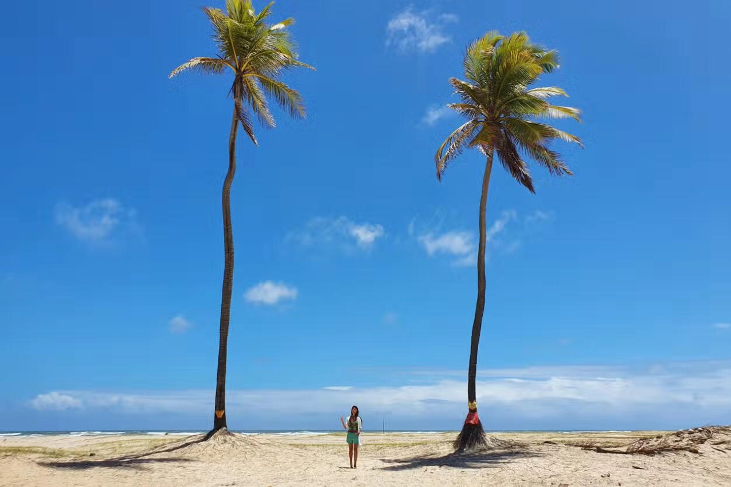MANGUE SECO