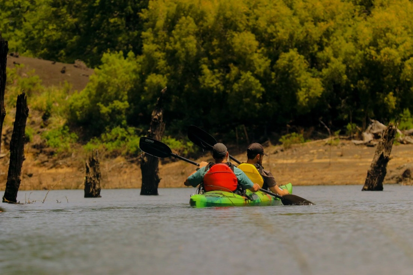 Travesía en Kayak por Laguna Verde: Naturaleza Pura en Conguillío