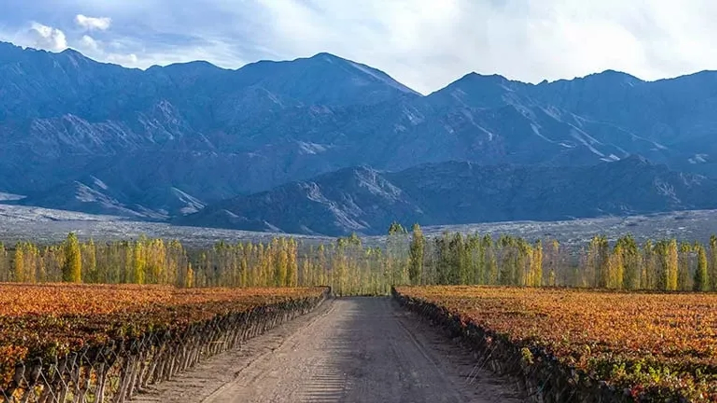 Camino del Vino Luján de Cuyo Tierra Malbec – Jueves