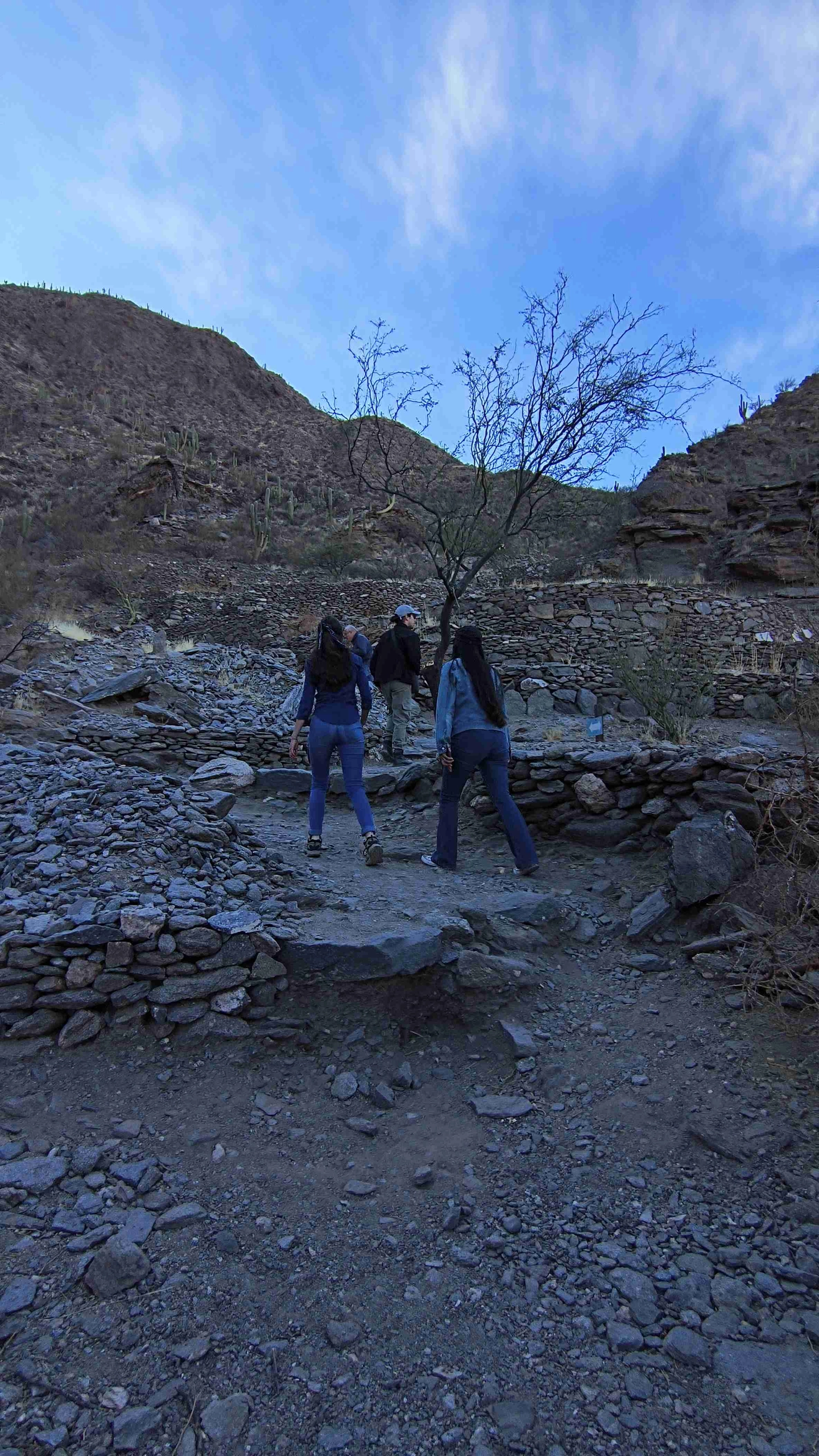 Picture 6