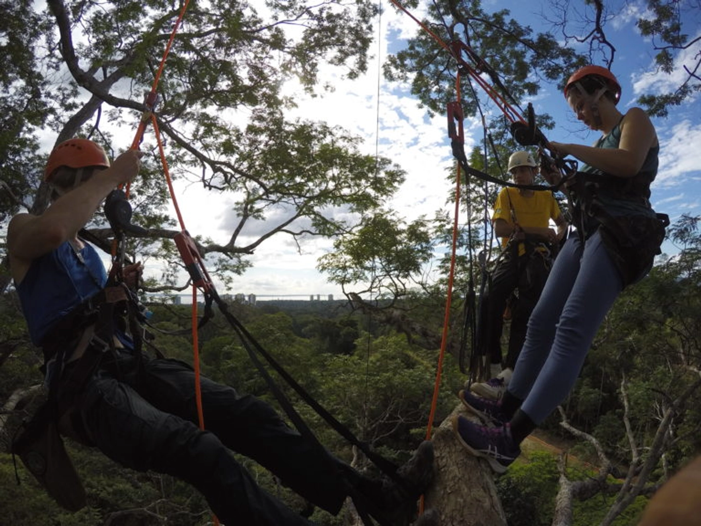 Selva Amazônica: Escalada em Árvore 3 Horas