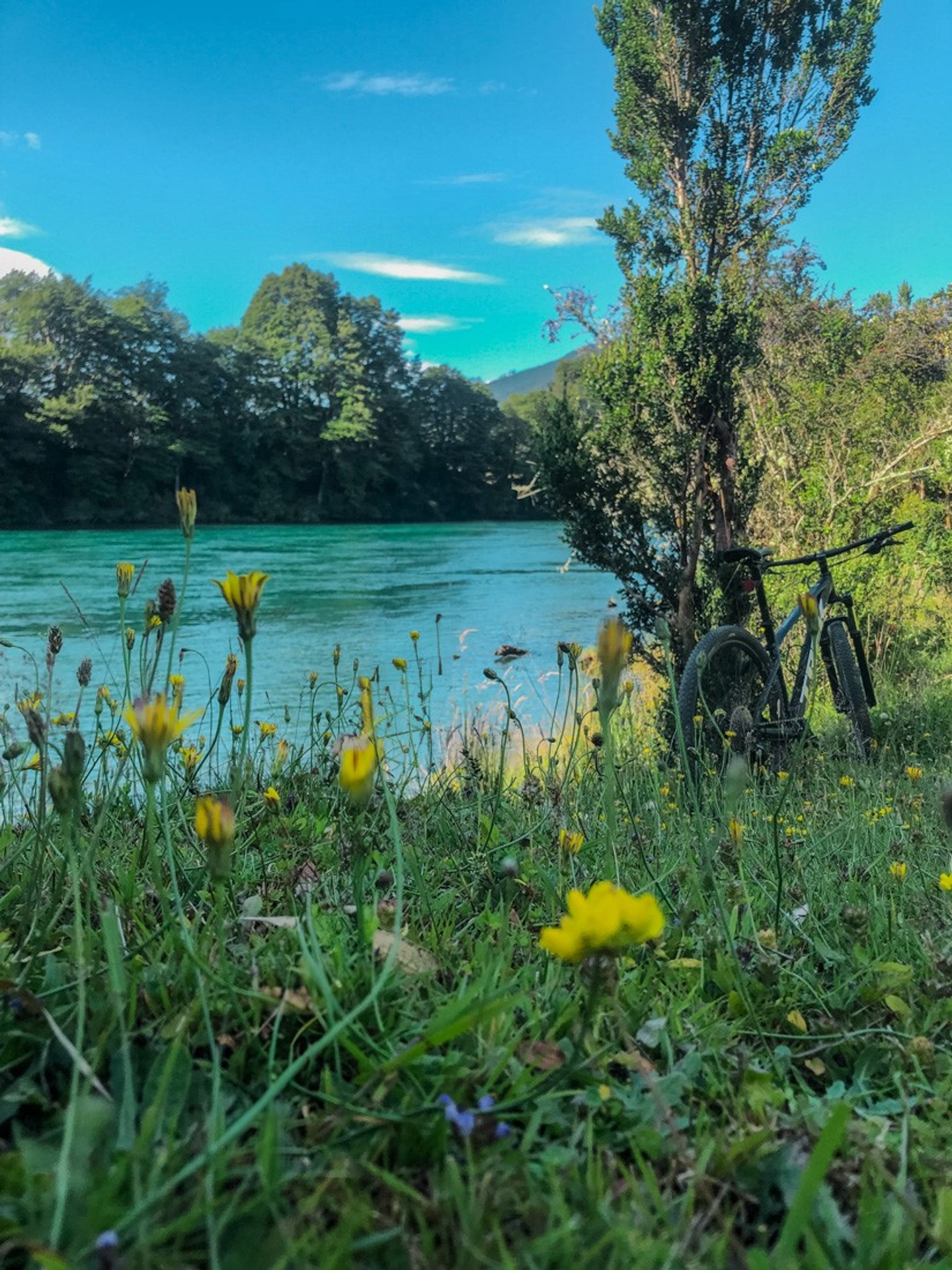 Renta Mountain Bike en La Junta: Descubre la Naturaleza en Dos Ruedas