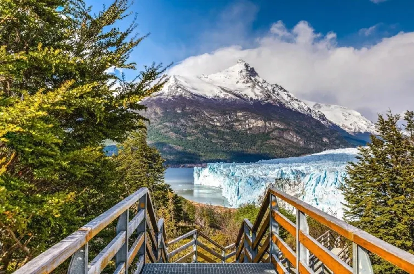 Picture 1