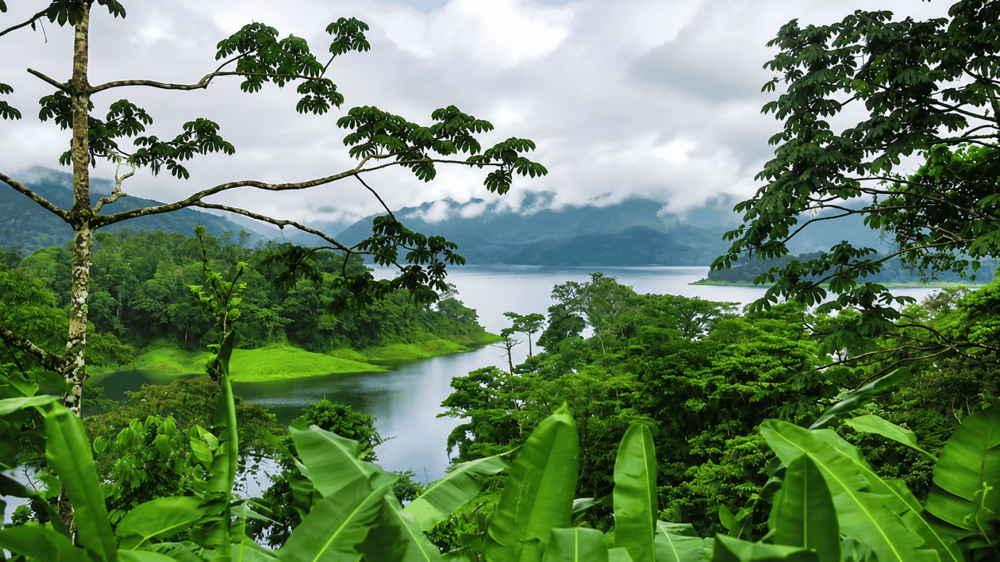 Birdwatching Lake Arenal (Caminatas Fosforo)