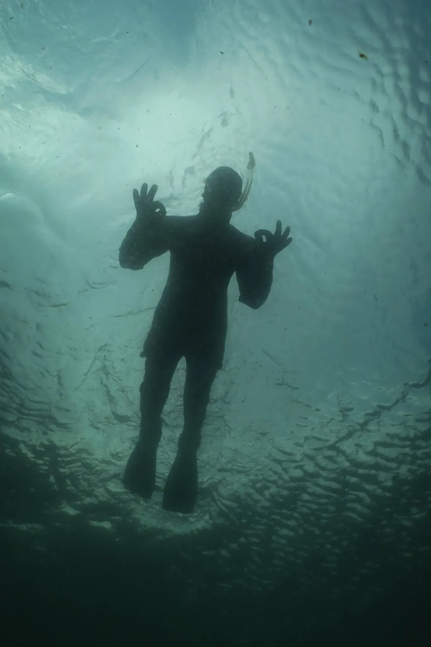 Snorkelling en el Canal de Beagle