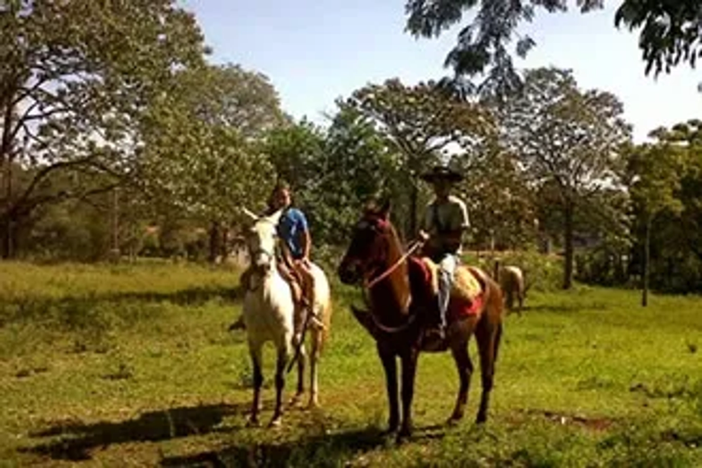 Cabalgata Ecológica en la Selva Iguazú