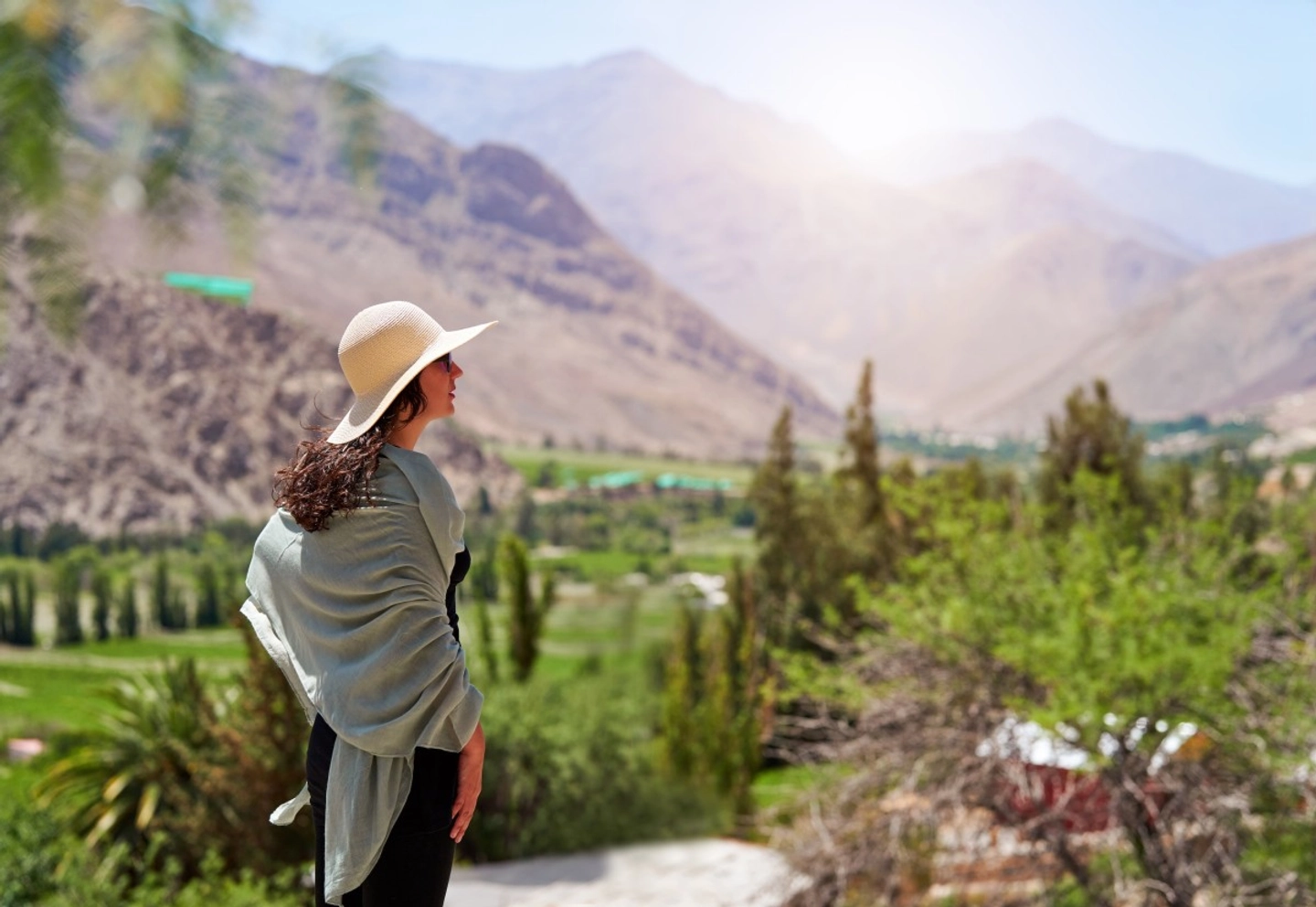 Tour Valle de Elqui desde La Serena: historia, cultura y misticismo en un solo viaje