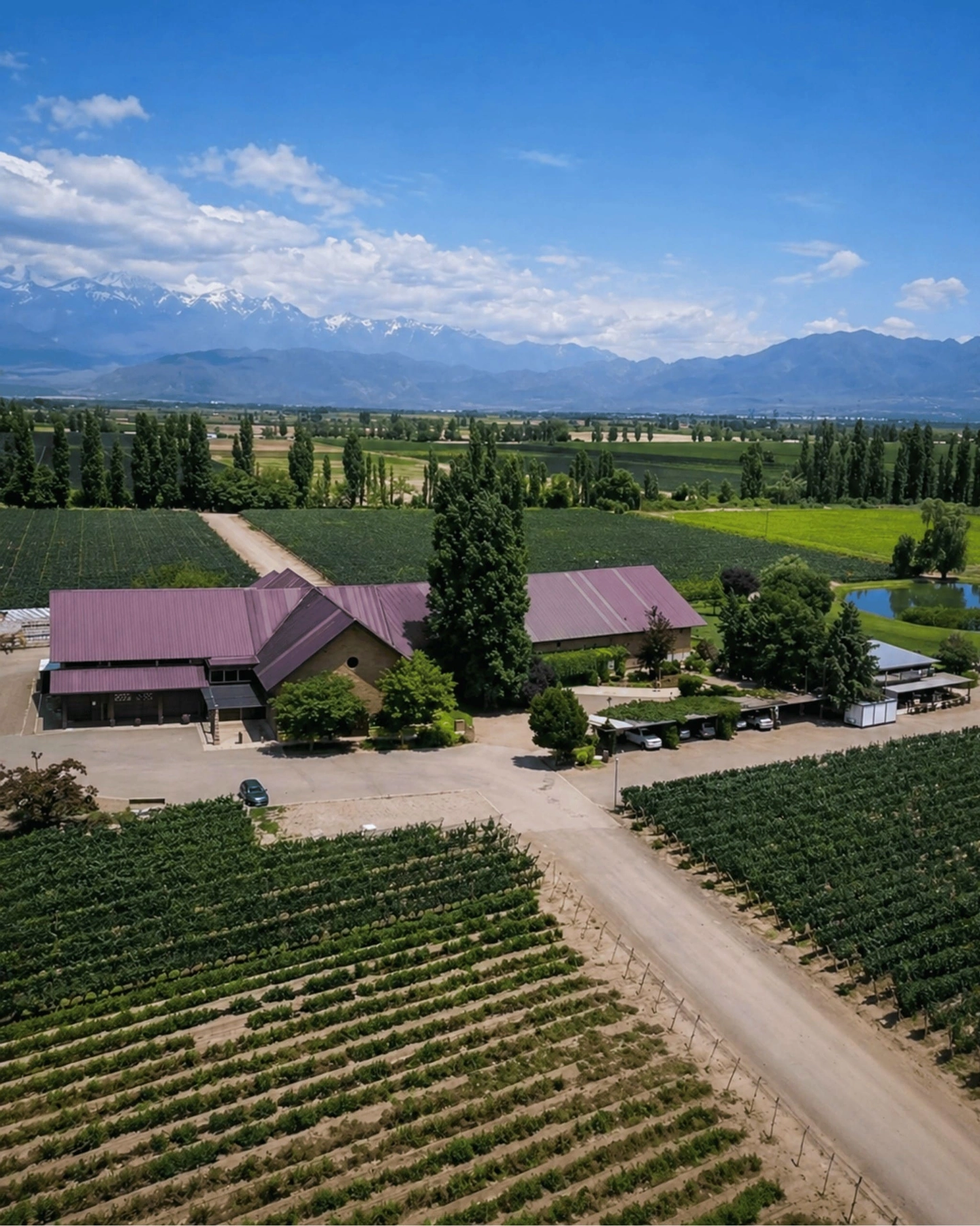 Camino del Vino Luján de Cuyo Tierra Malbec – Jueves