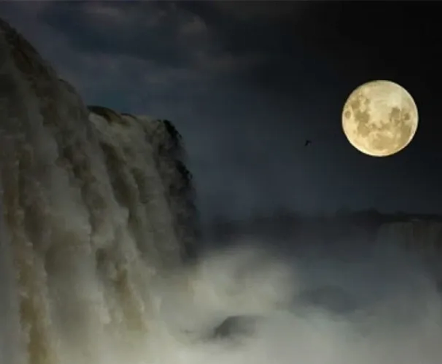 Excursion Luna Llena en Cataratas del Iguazú