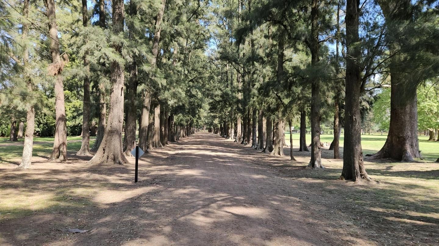 Picture 10