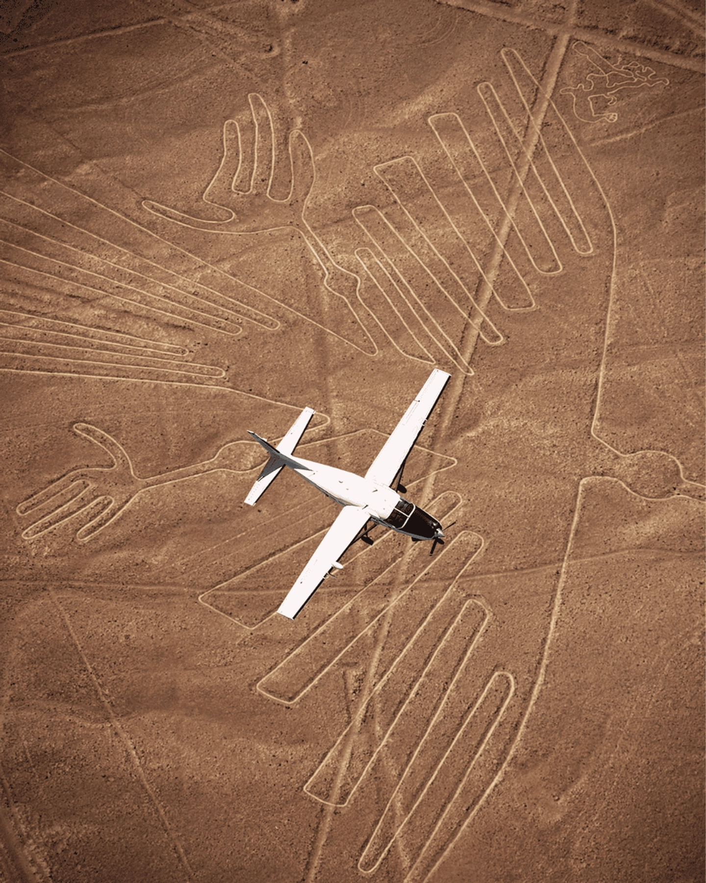 Tour de Sobrevuelo a las Líneas de Nazca y Huacachina desde Lima