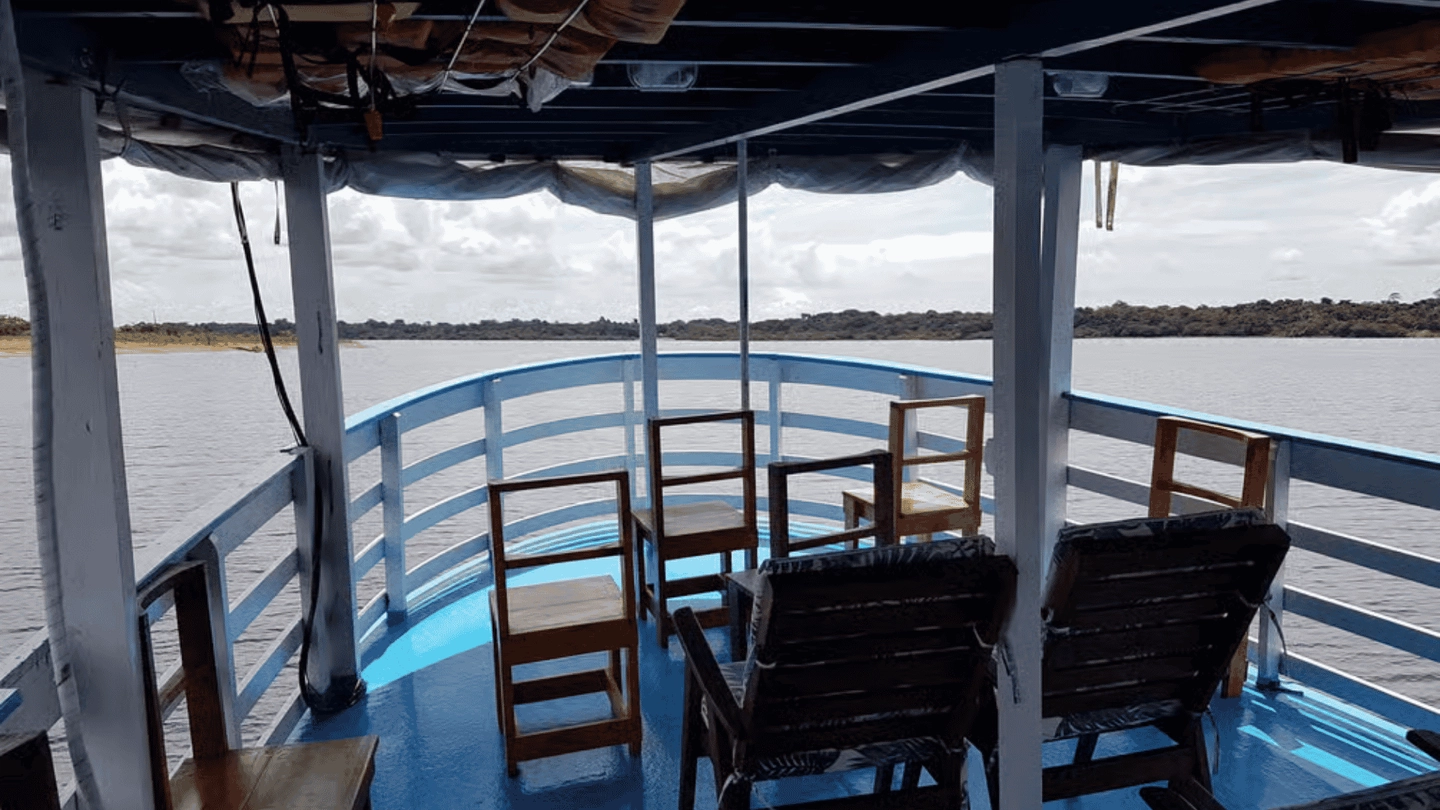 Picture 5