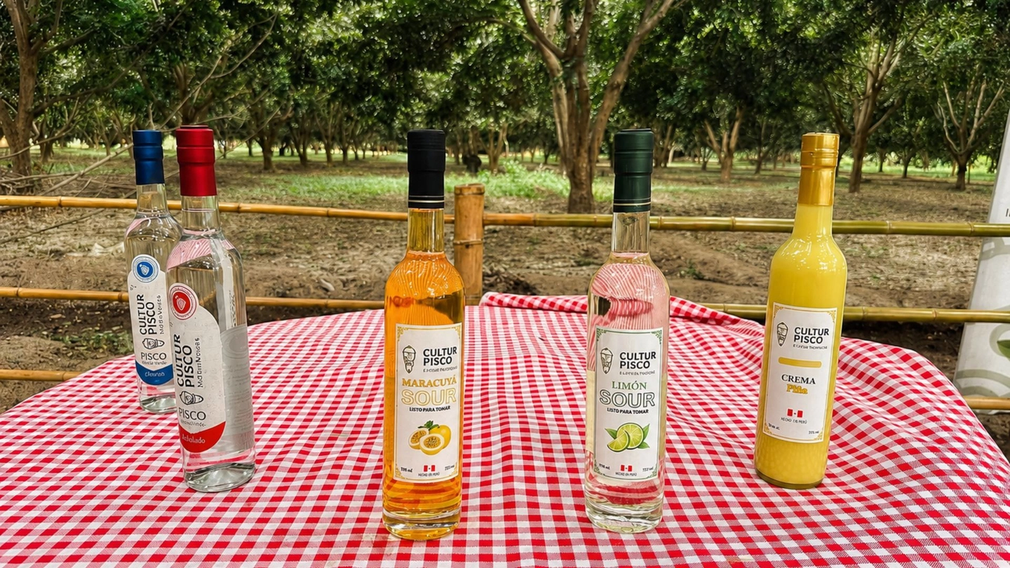 Ruta del Pisco y Viñedos Tradicionales