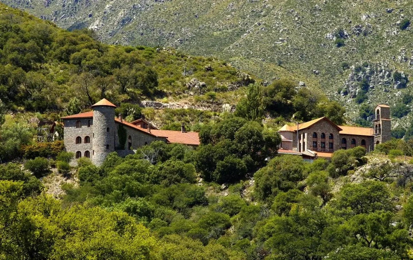 Picture 6