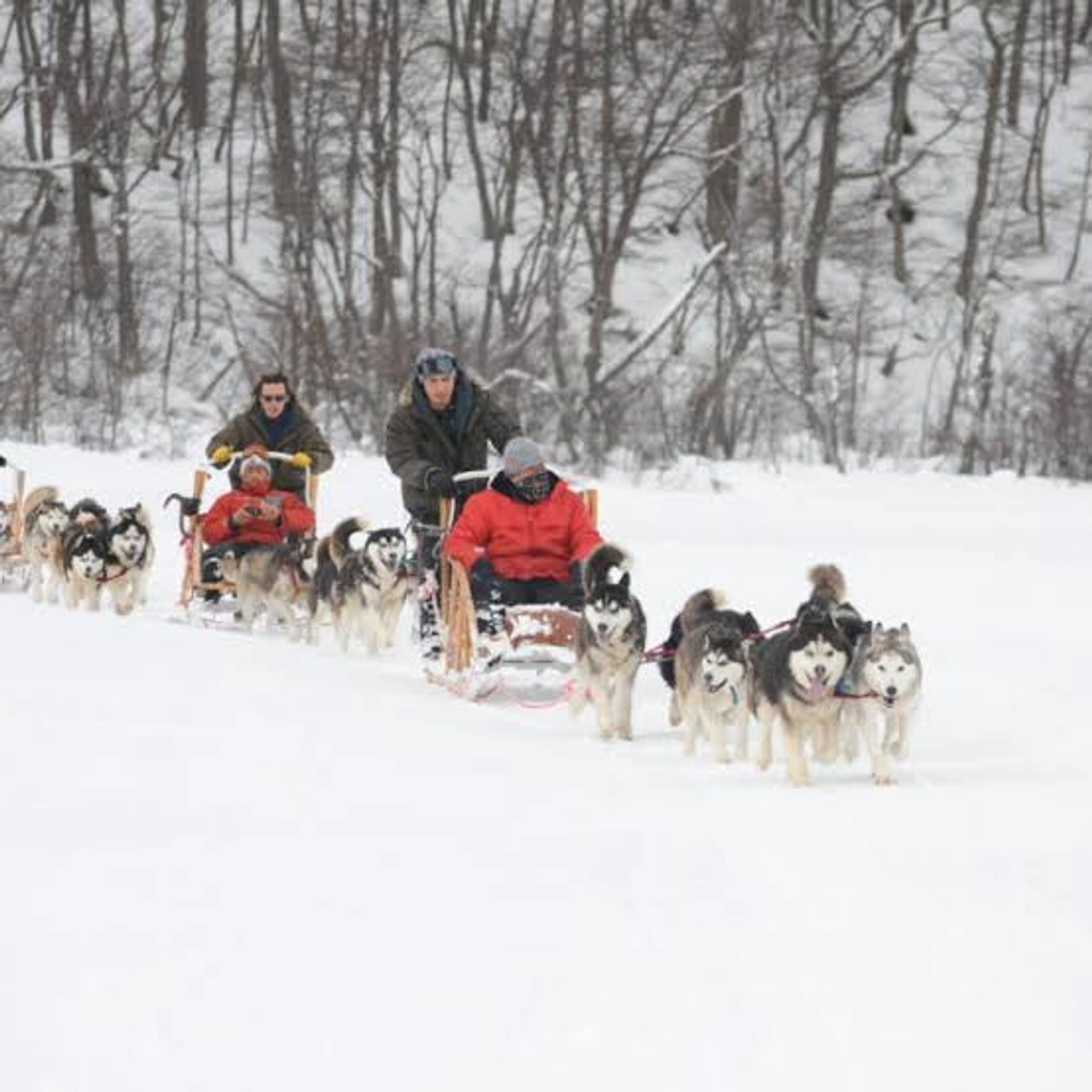 Trineos Husky, Raquetas y Cena en Nunatak