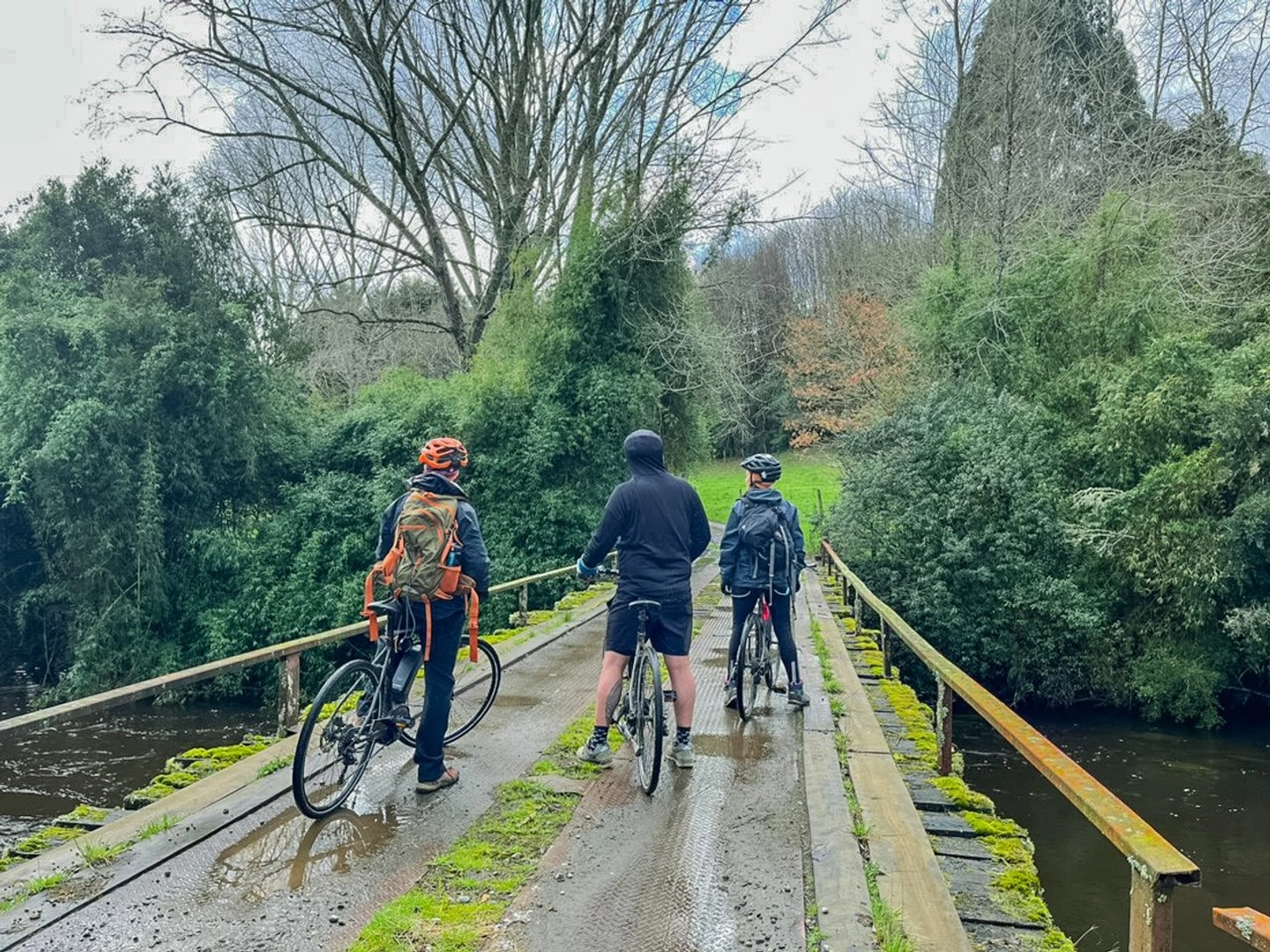 Descubre Puerto Varas en eBike: Naturaleza y Biodiversidad en un Solo Tour