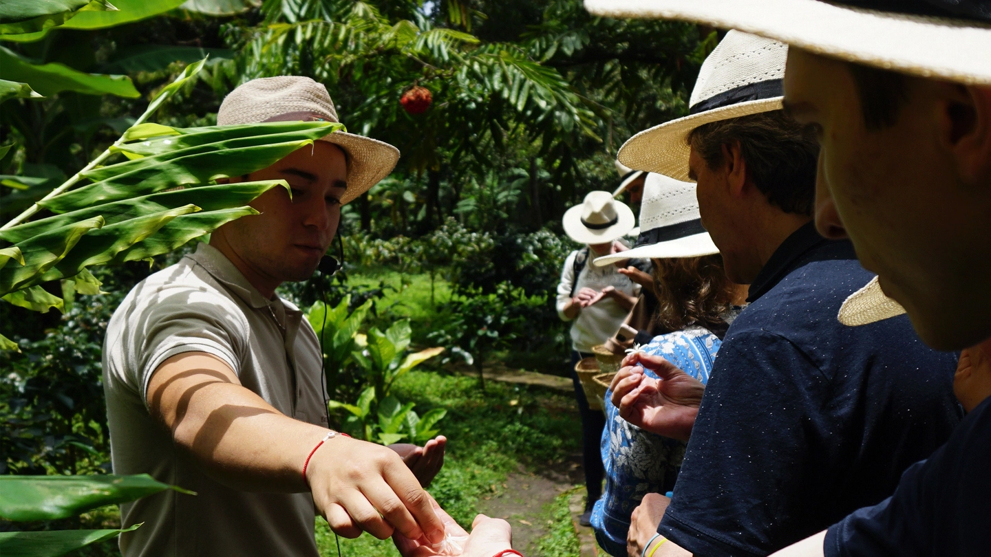 Coffee Farm Experience & Tequendama Falls - Group Tour