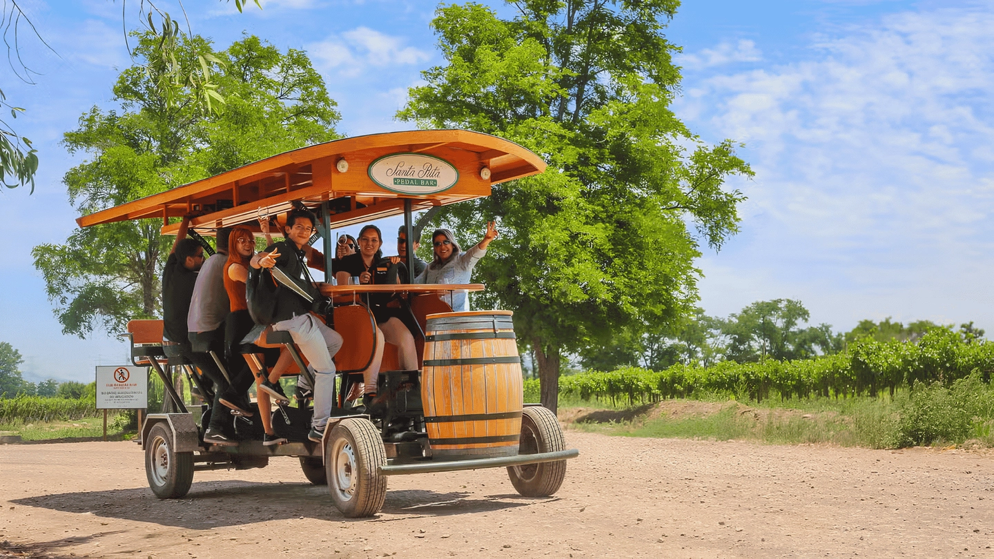 Pedal Bar Tour Viña Santa Rita