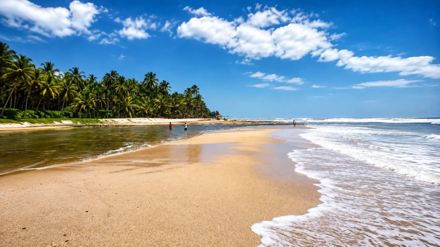 Excursión Palomino