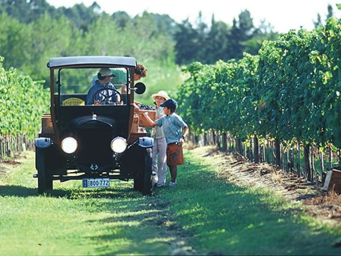 Visita y almuerzo en Bodega Bouza
