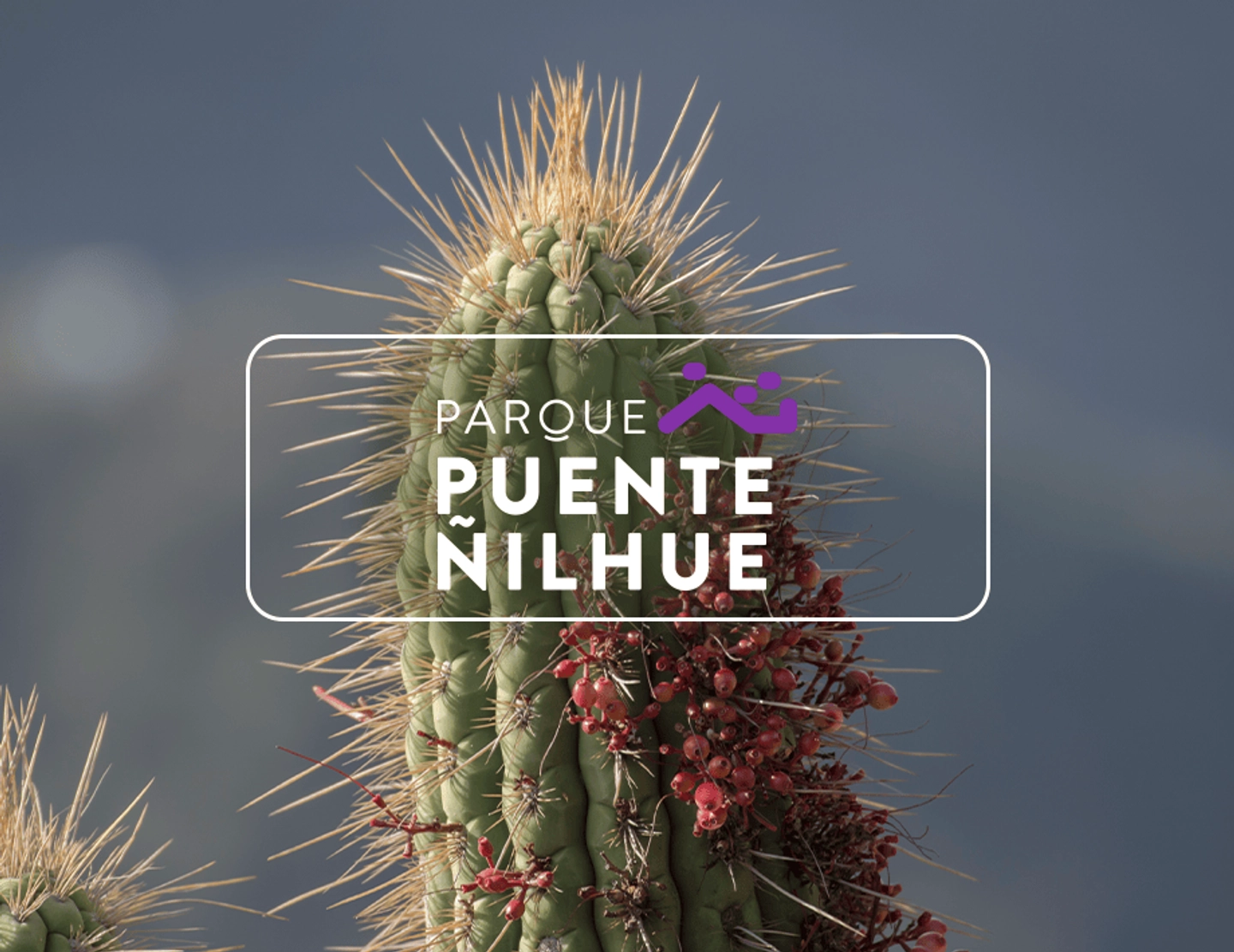 Entrada a Parque Puente Ñilhue