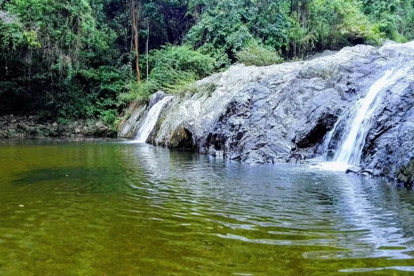 EXCURSIÓN A BURITACA Y QUEBRADA VALENCIA