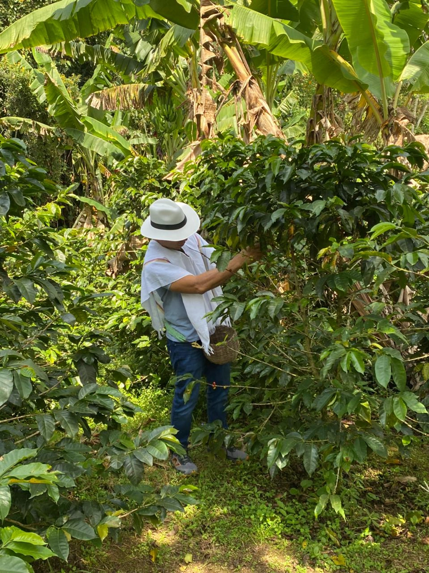 COFFEE EXPERIENCE