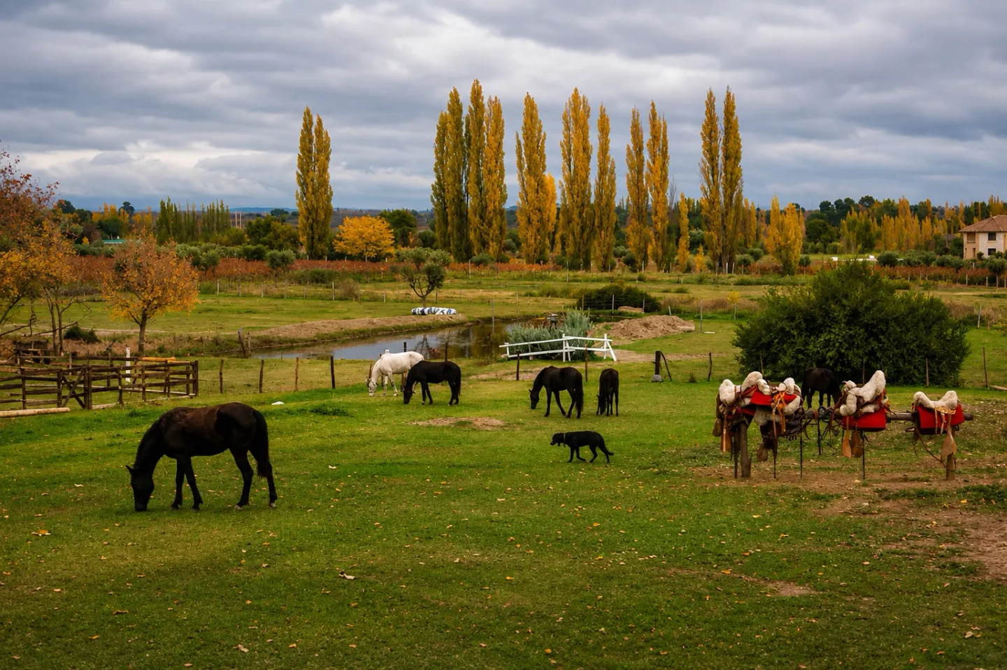 Cabalgata Familiar Criolla en Lunlunta en Mendoza