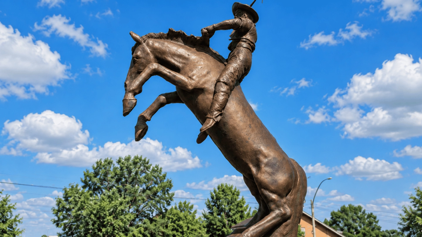 Picture 8