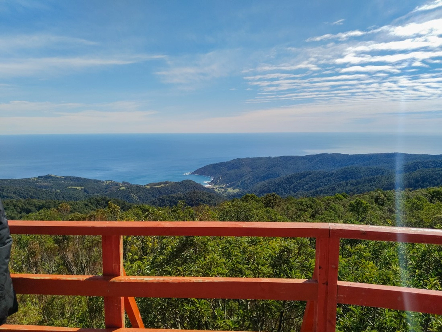 Trekking en el Parque Oncol y Playa Pilolcura: Naturaleza y Costas del Sur