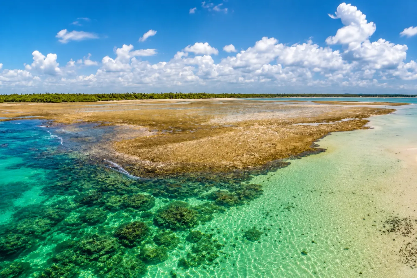 Excursão à praia de Garapuá