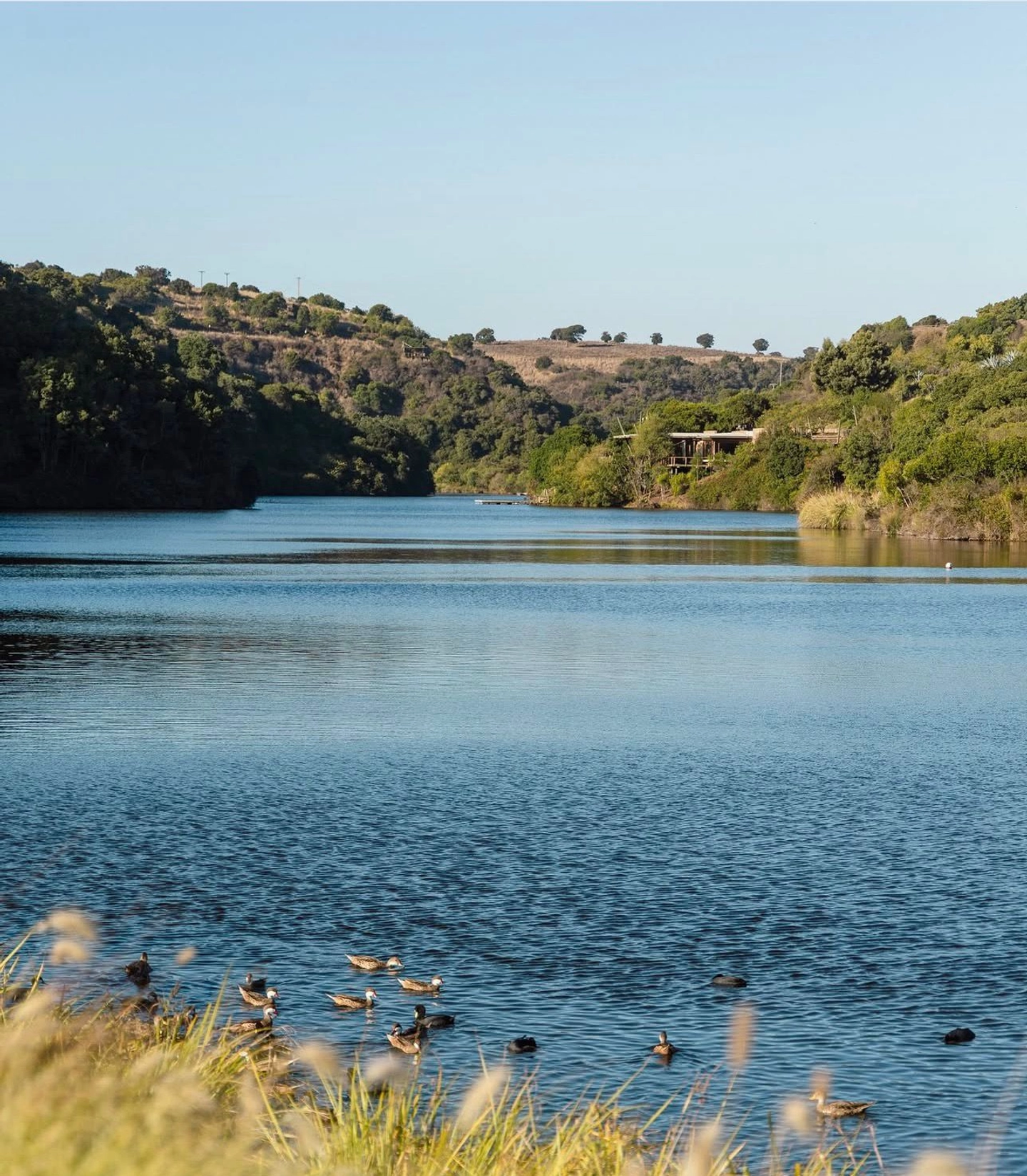Picture 7