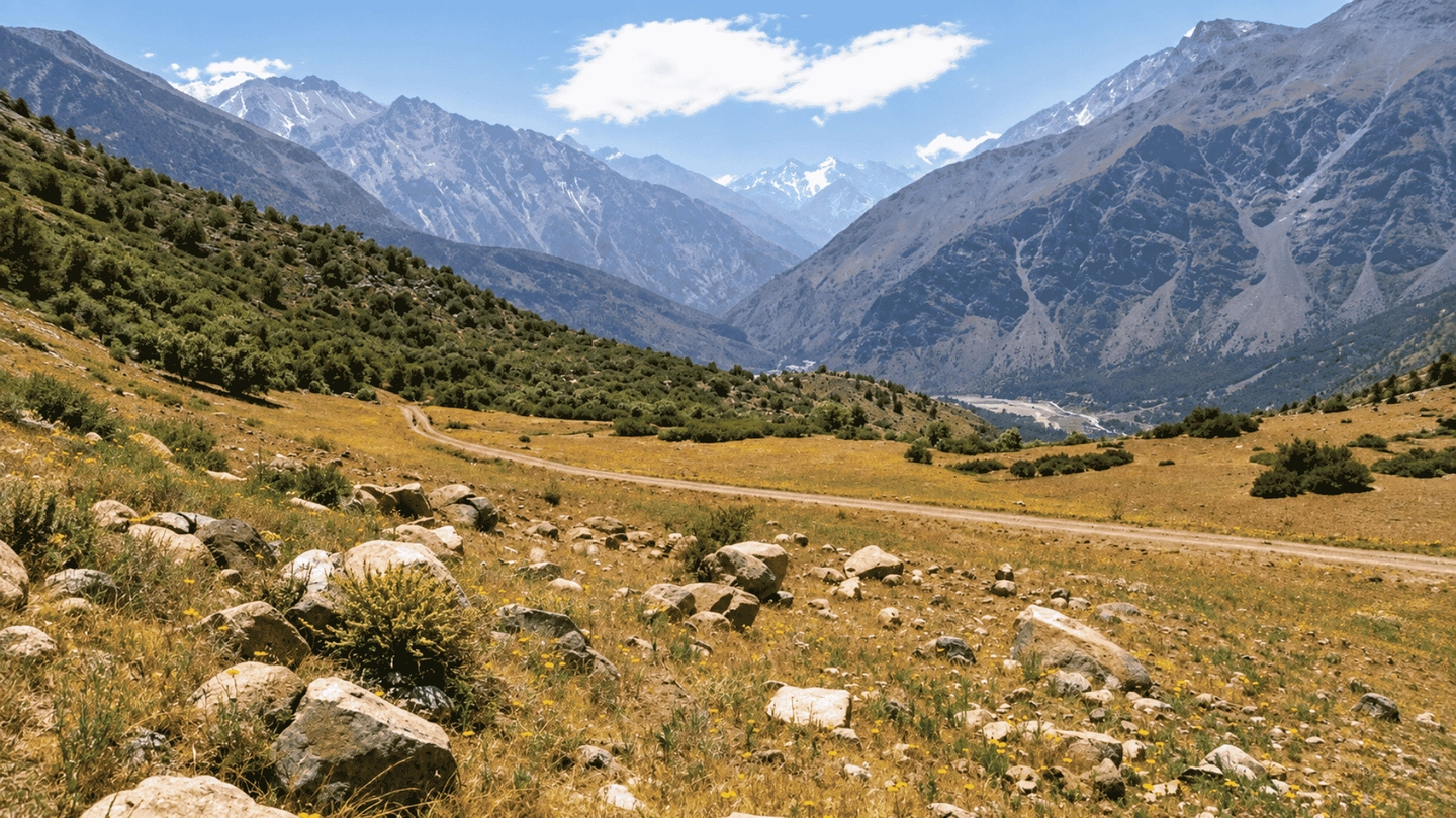 Picture 3