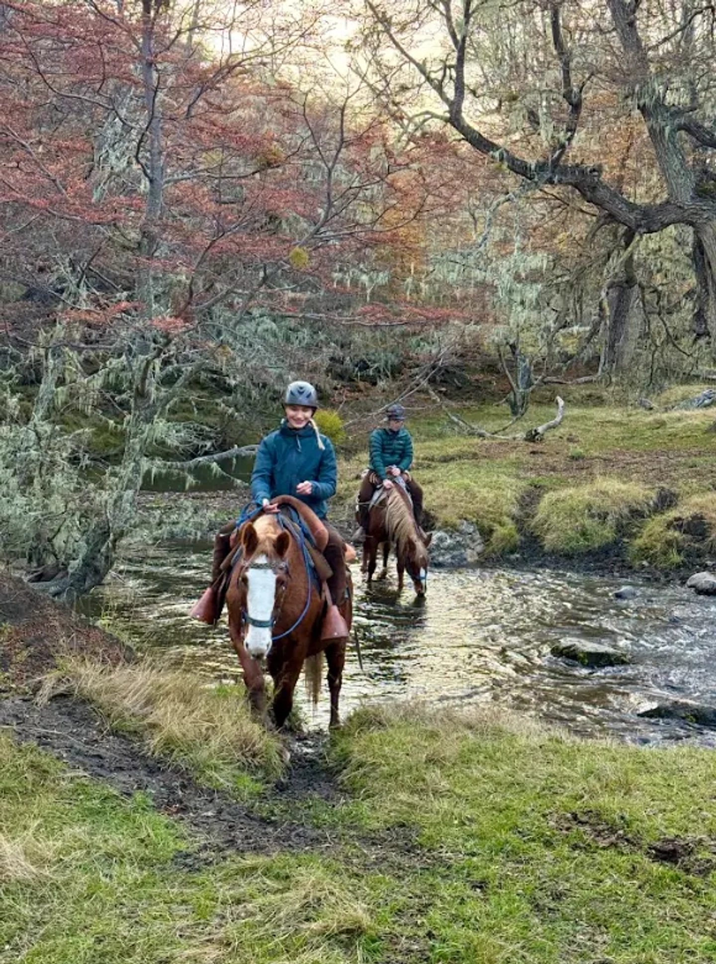 Cabalgata de Media Día en Patagonia desde Puerto Natales