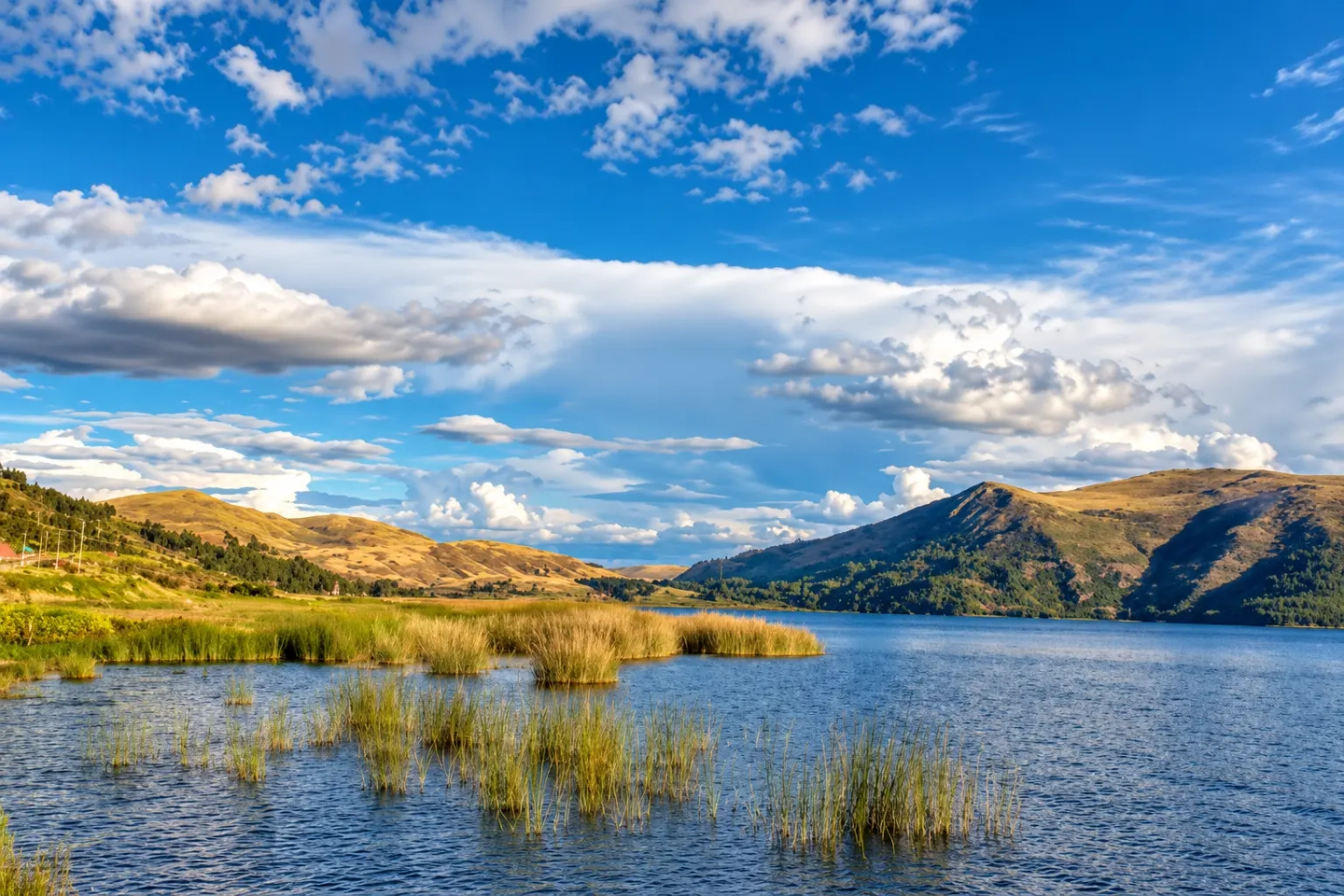 TOUR POR LAS CUATRO LAGUNAS ANDINAS