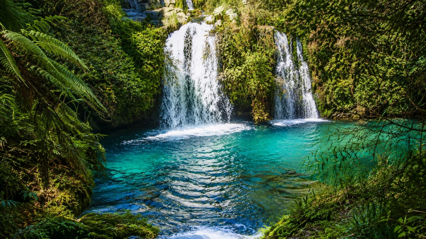 Tour Caburgua desde Pucón: Ojos del Caburgua, Naturaleza y Relajo