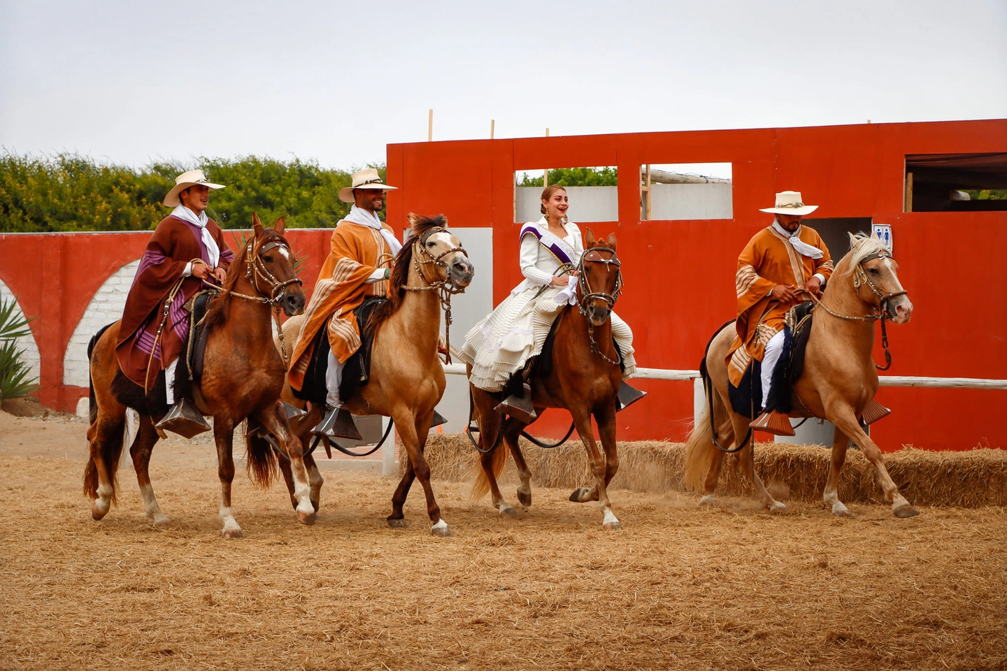 SHOW MARINERA Y CABALLOS DE PASO PERUANO