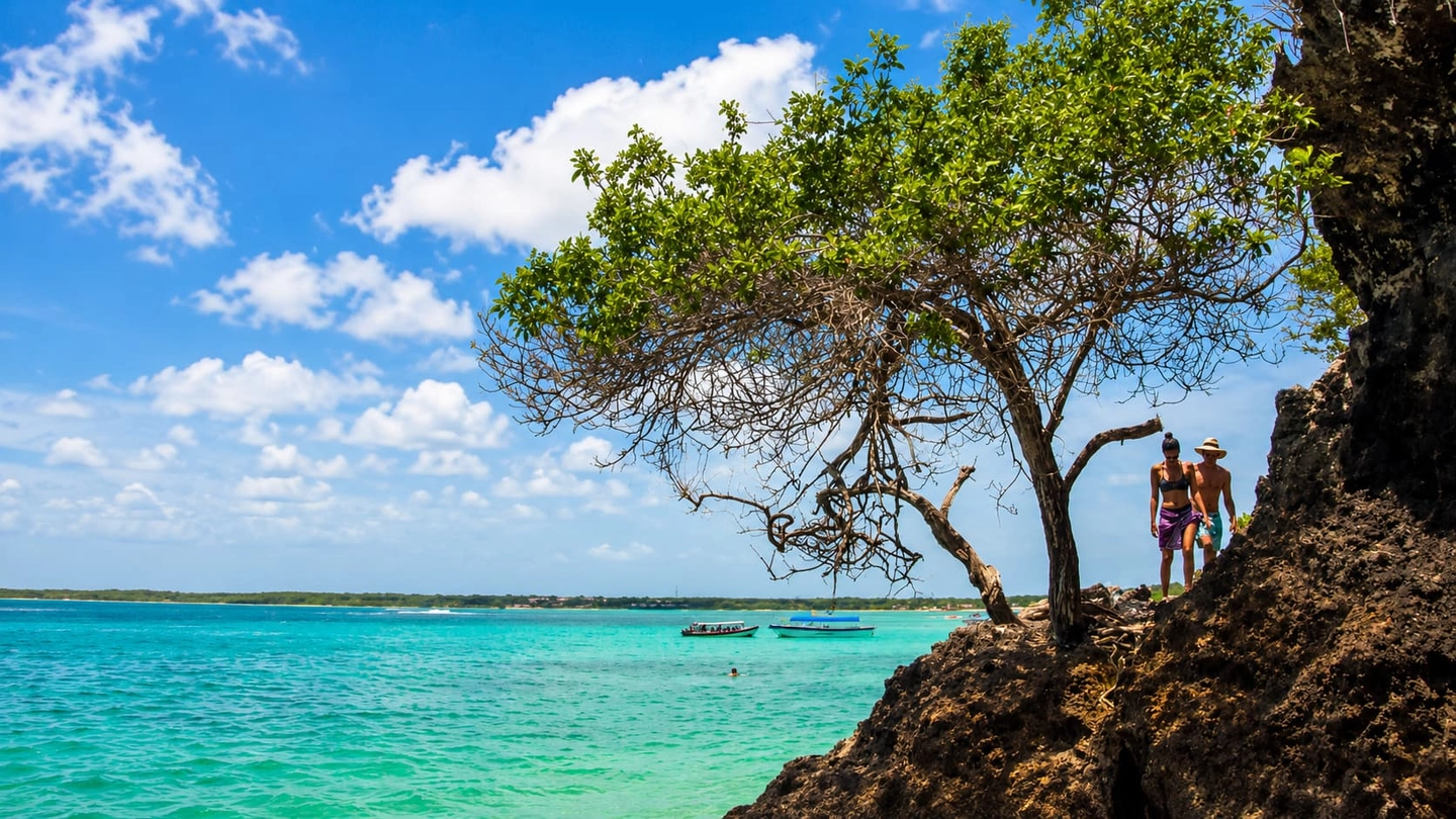 Tour a Playa Blanca/Playa Tranquila