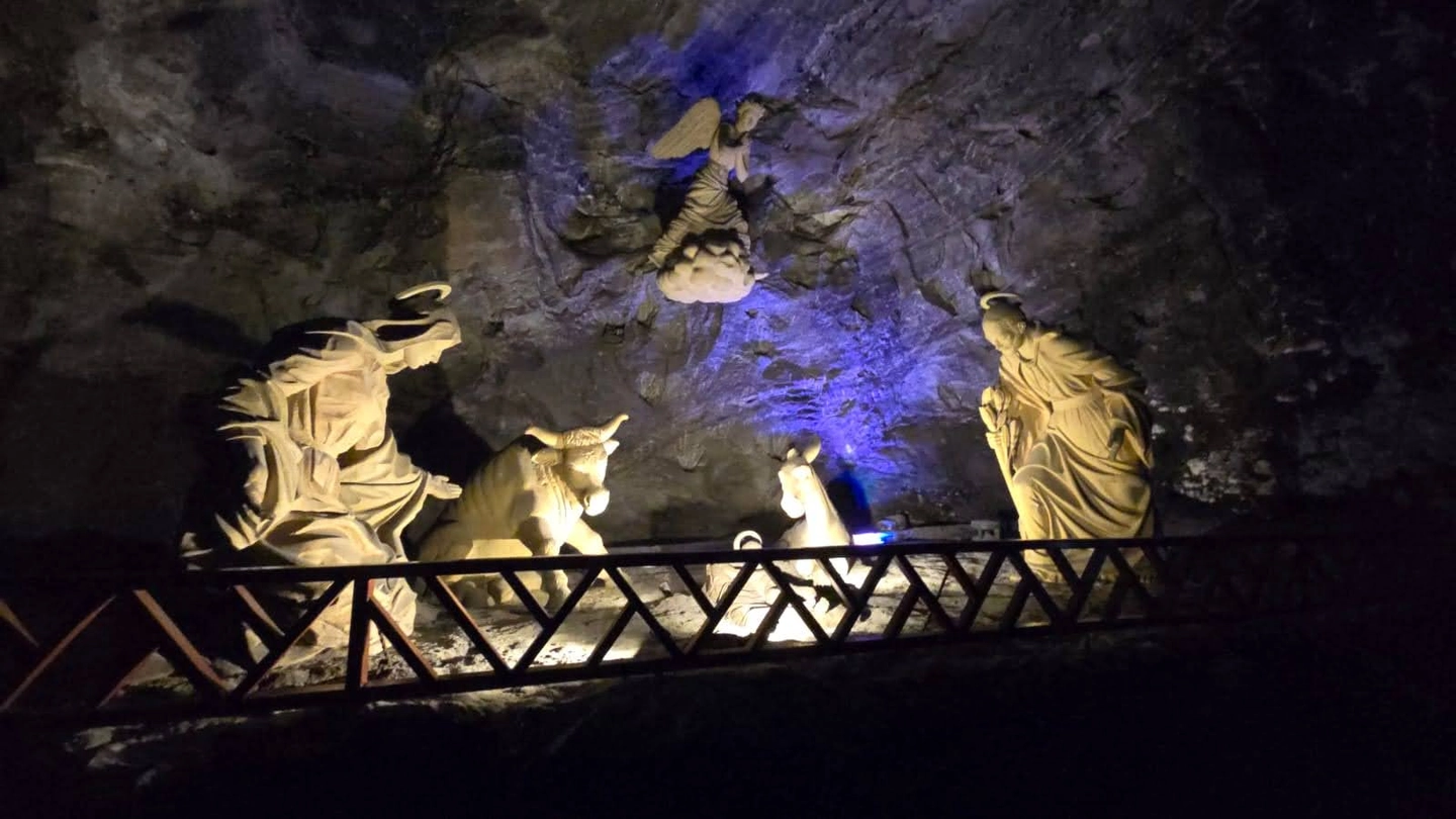 Excursión a la Catedral de Sal de Zipaquirá + Andrés Carne de Res en Chía
