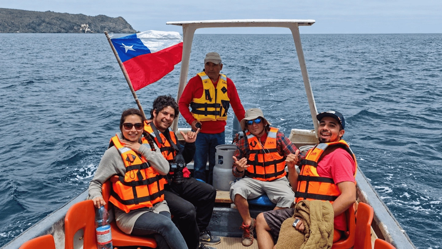 Avistamiento de ballenas en Chañaral de Aceituno: vive la magia del océano