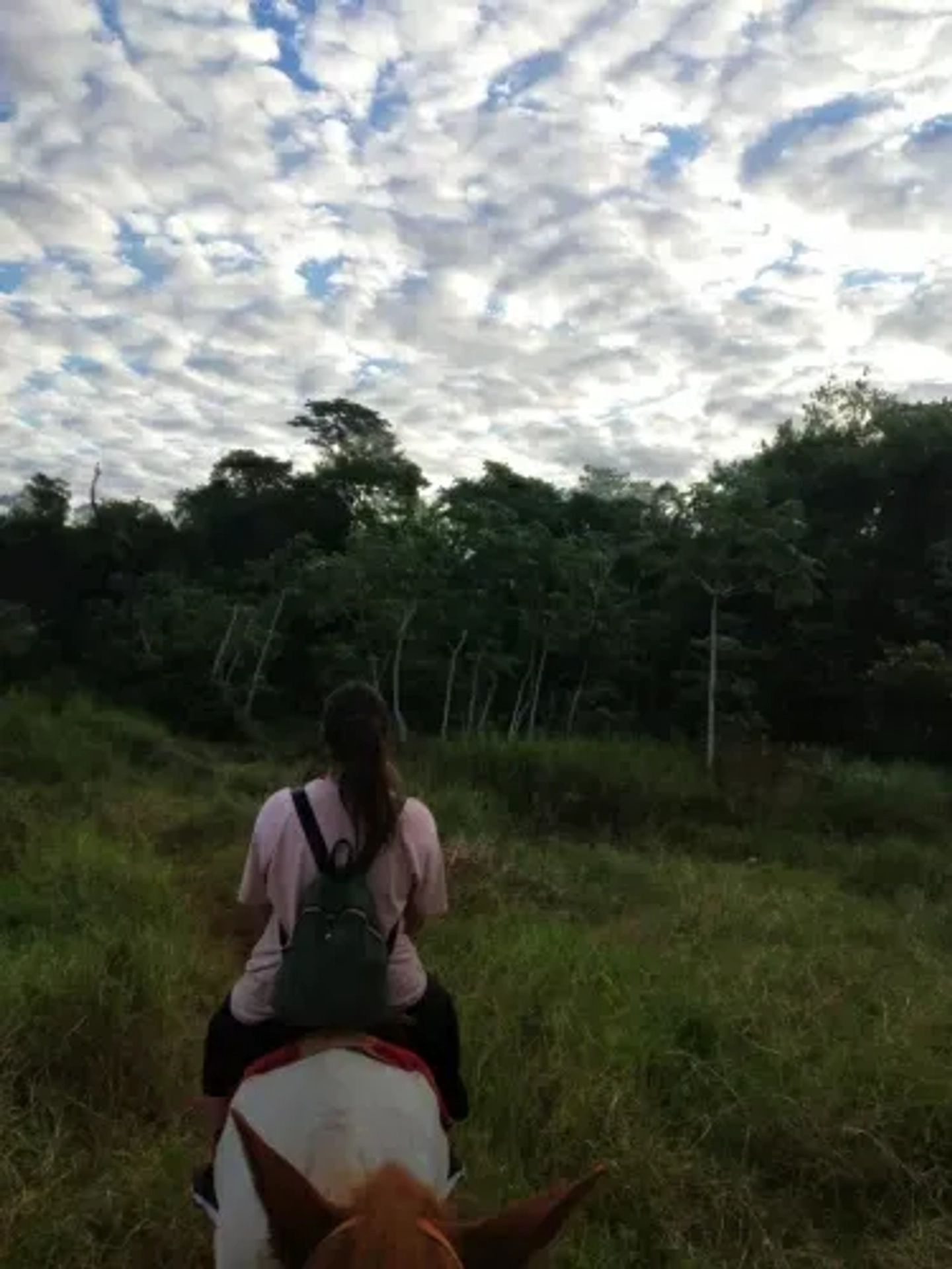Cabalgata por la Selva en Iguazú de 2 horas