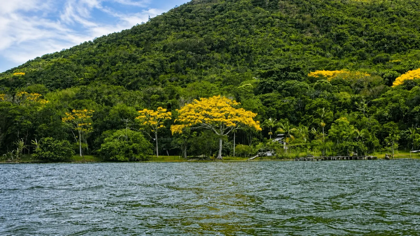 Trilha pela Costa da Lagoa + Passeio de barco