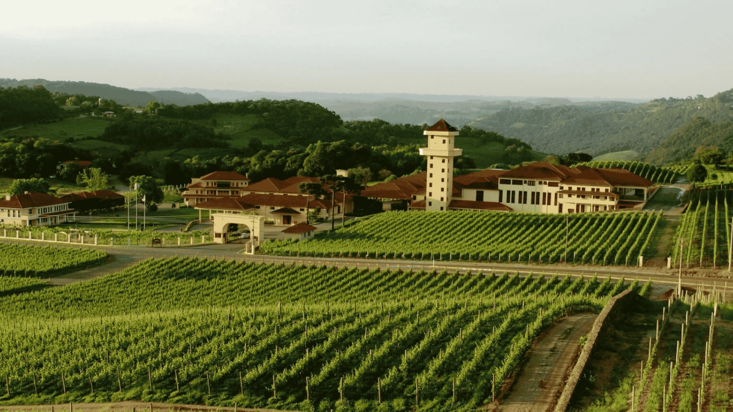 Tour Uva e Vinho com Epopeia Italiana e Maria Fumaça