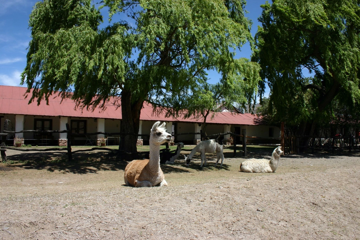 Picture 8