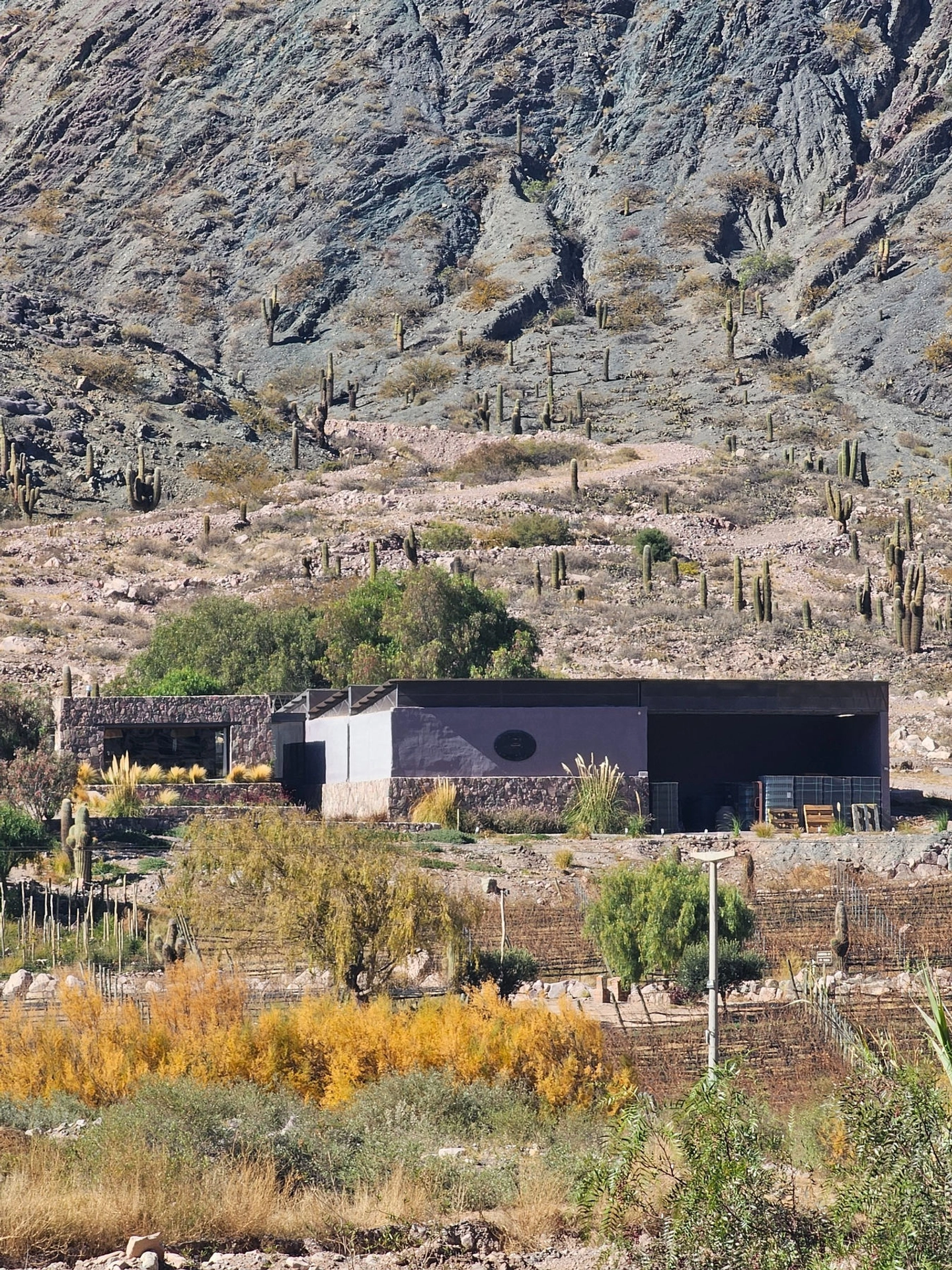 Picture 8